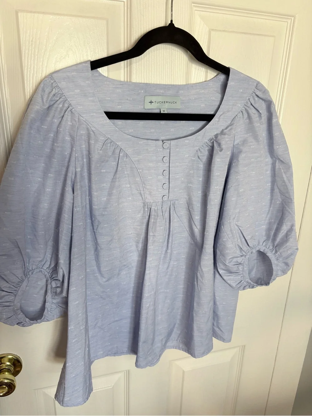 Tuckernuck Light Blue Clip Dot Peasant Blouse Balloon Sleeve Medium